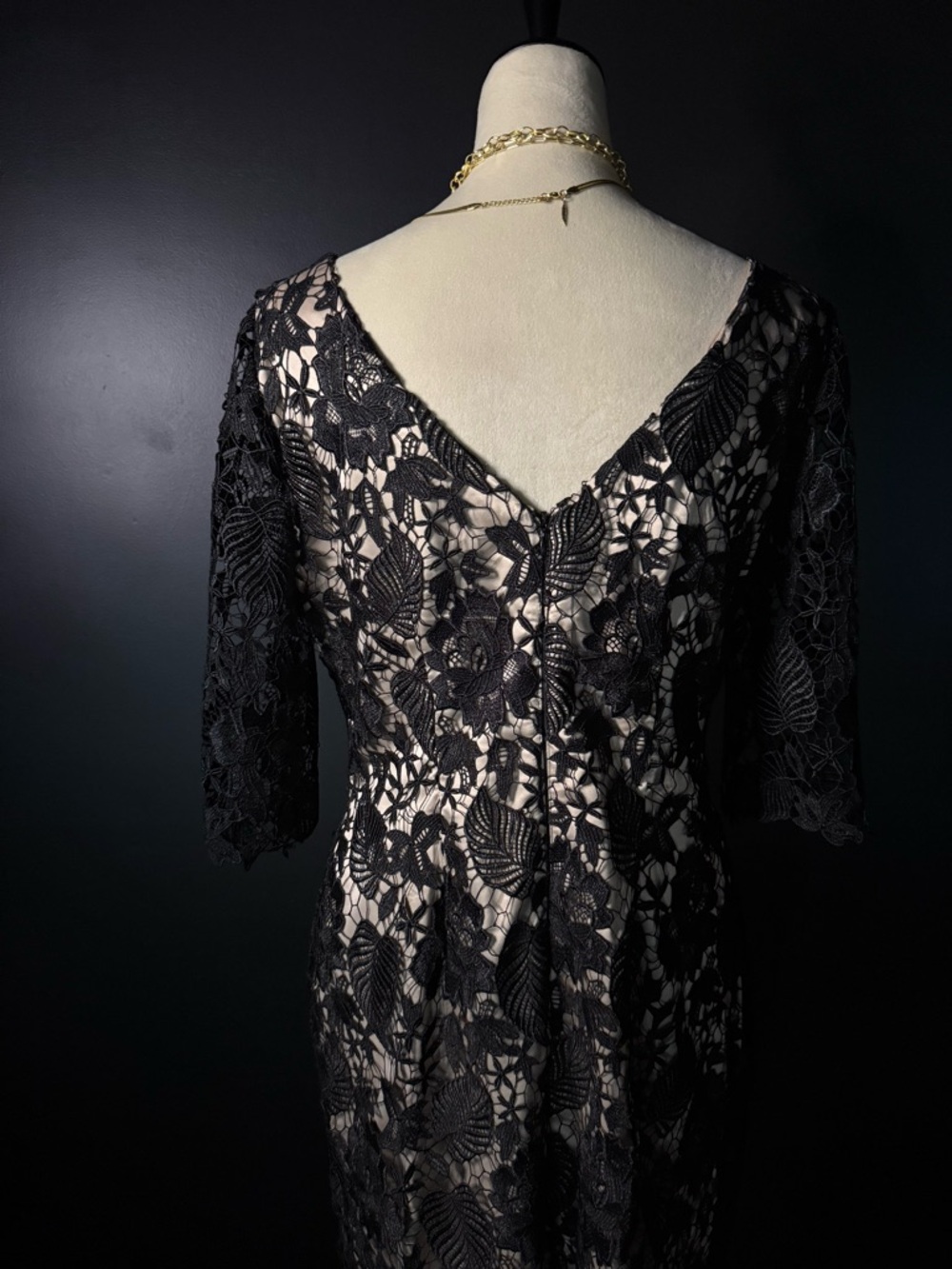 Elegant Black Lace Sheath Dress with Nude Lining - Picture 6 of 7